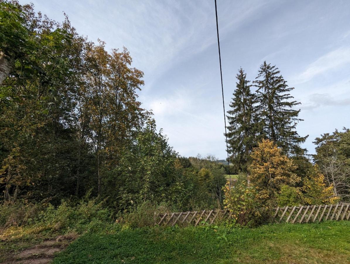 Ferienwohnung Am Seebach, 80 Qm 蒂蒂湖-新城 外观 照片
